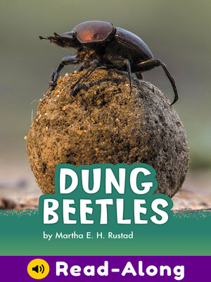cover image of Dung Beetles